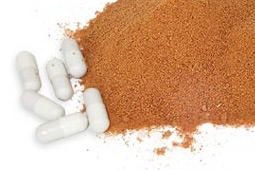 Ibogaine therapy