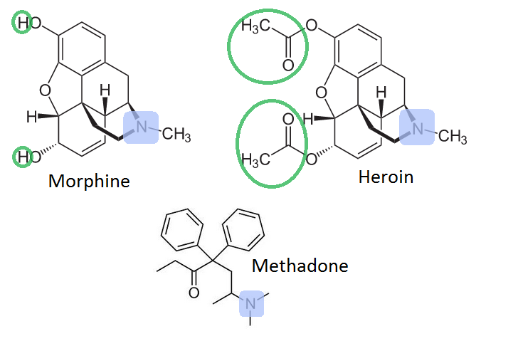 морфин кодеин героин метадон